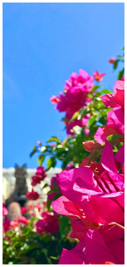 リゾート観光業のイメージ