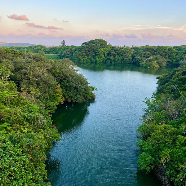 アウトドアのイメージ