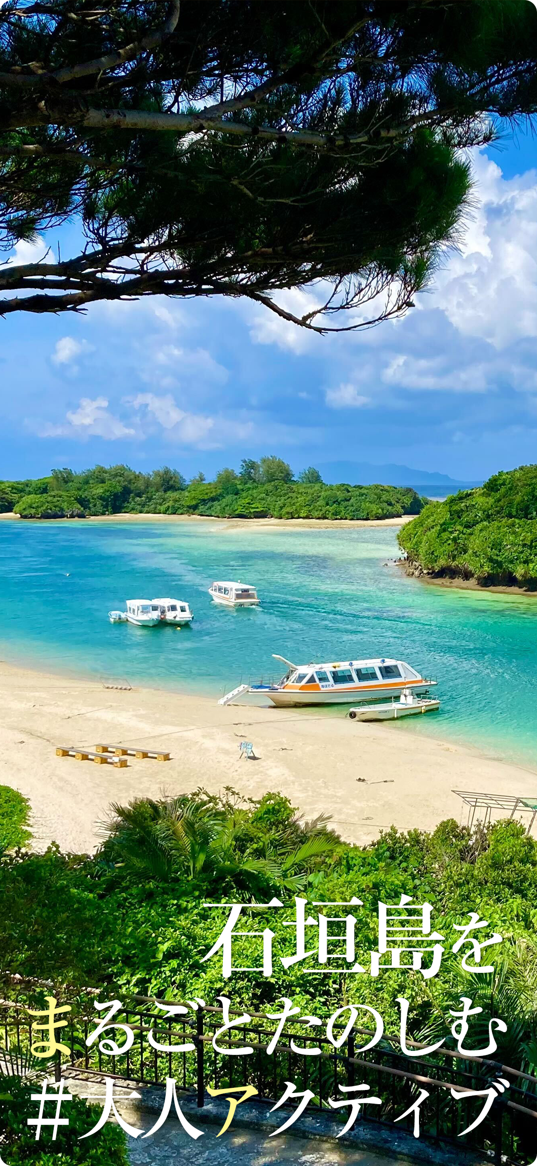 石垣島で移動式サウナを運営する会社エーケーシー合同会社