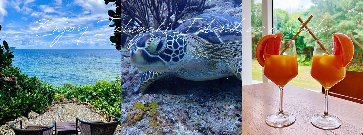 エーケーシー合同会社は沖縄県石垣島を中心に観光業を行っています